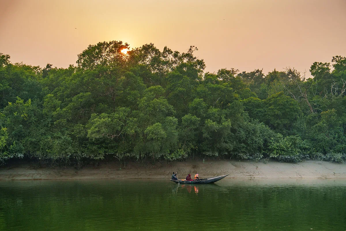 Sundarban